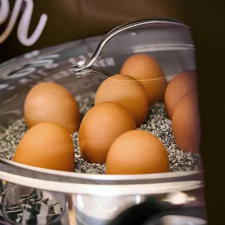 Hotel Wolfsburg-weyhausen Weyhausen